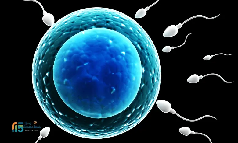 عدد الحيوانات 11 مليون .. كيف تعرف العدد الطبيعي وزيادته عدد الحيوانات 11 مليون